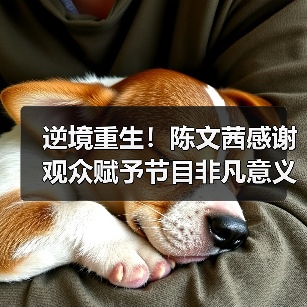 逆境重生!陈文茜感谢观众赋予节目非凡意义(图2) 逆境重生!陈文茜感谢观众赋予节目非凡意义(图2)