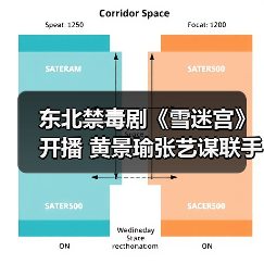 东北禁毒剧《雪迷宫》开播 黄景瑜张艺谋联手演绎正邪较量