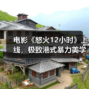 电影《怒火12小时》上线，极致港式暴力美学，打戏酣畅淋漓！