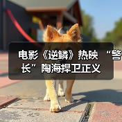 电影《逆鳞》热映 “警长”陶海捍卫正义(图2) 电影《逆鳞》热映 “警长”陶海捍卫正义(图2)