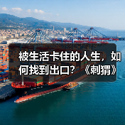 被生活卡住的人生,如何找到出口?《刺猬》治愈内耗之旅(图2) 被生活卡住的人生,如何找到出口?《刺猬》治愈内耗之旅(图2)