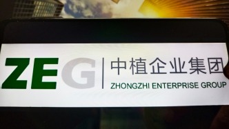 中植集团原董事局主席高某某等人非法吸收公众存款案一审宣判 - 百博资讯